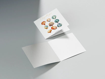 Carte postale "Coquillages"
