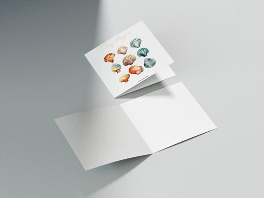 Carte postale "Coquillages"