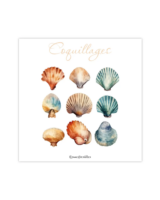 Carte postale "Coquillages"